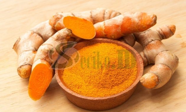 Manfaat Positif dari Kunyit Bisa Mencegah Penyakit Kanker!