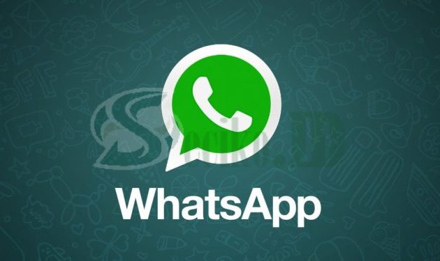Kumpulan Cara Membaca Pesan WhatsApp Tanpa Terlihat Ceklis Biru