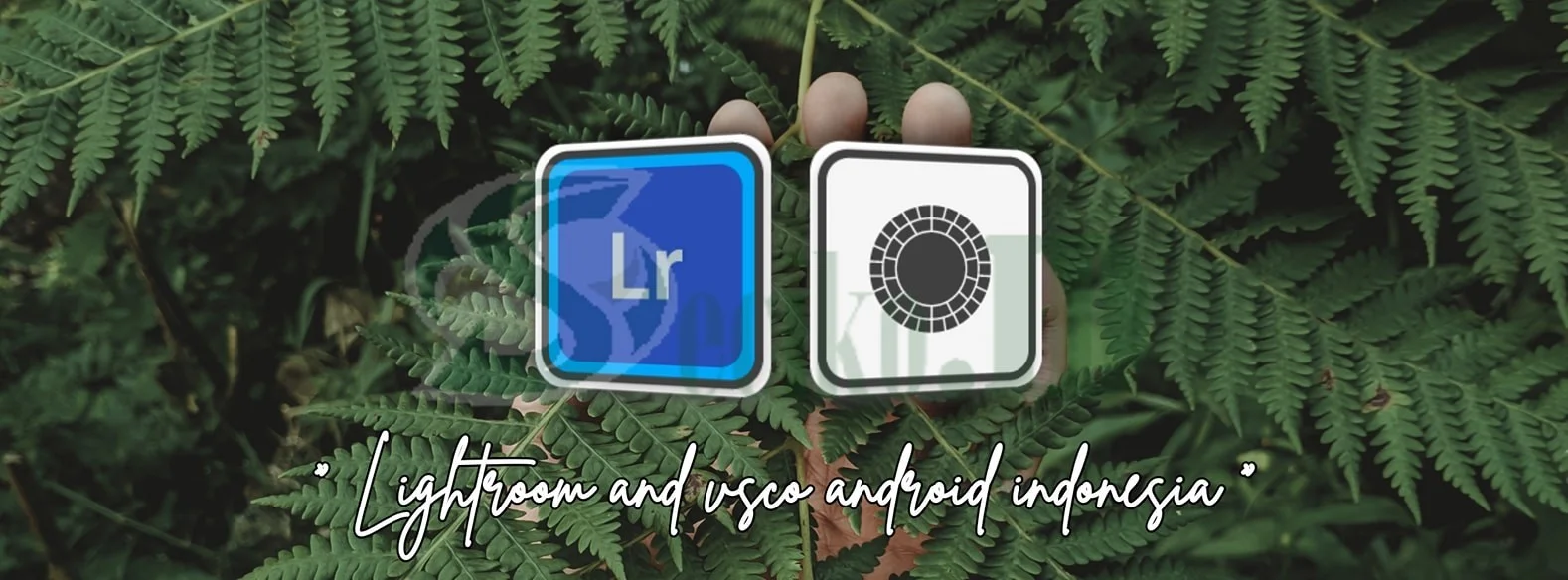 Lomba Edit Foto Lightroom & VSCO Android Indonesia