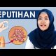 Video PRIA & WANITA HARUS TAHU !!! Jenis-Jenis, Cara Mengobati Dan Cara Mencegah Keputihan 2021