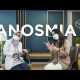 Video Penyebab, Gejala, dan Cara Mengatasi Anosmia 2021 Video Penyebab, Gejala, dan Cara Mengatasi Anosmia 2021