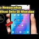 Video Cara Mudah Memunculkan Notifikasi Delta GB WhatsApp 2021