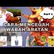 Video Cara mencegah wabah ARATAN ( Part 2 ) 2021