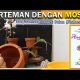 Video CARA MENCEGAH BUSUK AKAR PADA ANGGREK BULAN (media moss) 2021