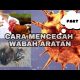 Video Cara mencegah wabah ARATAN ( part 1 ) 2021
