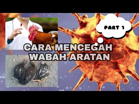 Video Cara mencegah wabah ARATAN ( part 1 ) 2021