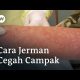 Cara Jerman Cegah Wabah Campak Agar Jangan Jadi Ancaman 2021