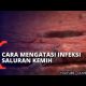 Hati-hati dengan Infeksi Saluran Kemih! 2021 Hati-hati dengan Infeksi Saluran Kemih! 2021