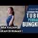 Cara Menghilangkan Postur Bungkuk | Fisioterapi Memperbaiki Postur Tubuh – Cara Badan Tegak 2021