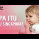 Flu Singapura : Ini Ciri, Cara Mencegah, dan Penanganannya 2021 Flu Singapura : Ini Ciri, Cara Mencegah, dan Penanganannya 2021