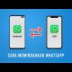 Memindahkan Whatsapp dari Android ke iPhone (atau sebaliknya) | MOBILETRANS TUTORIAL 2021