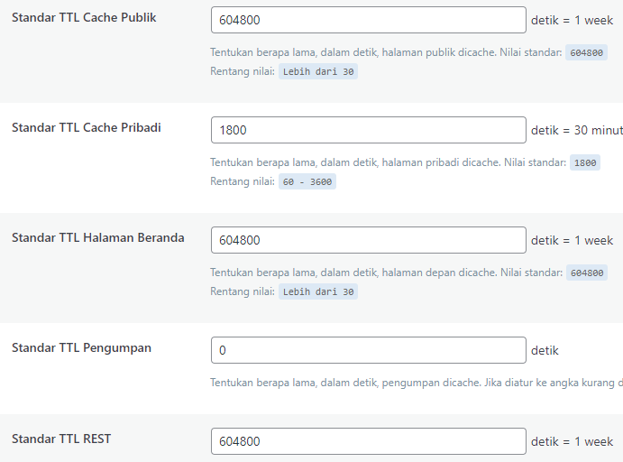 Cara Setting Plugin LiteSpeed Cache Terbaik | Seciko ID