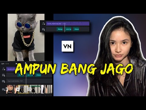 Rumus Edit Foto Jadi Video Transisi PMV Sound Ampun Bang Jago Di VN
