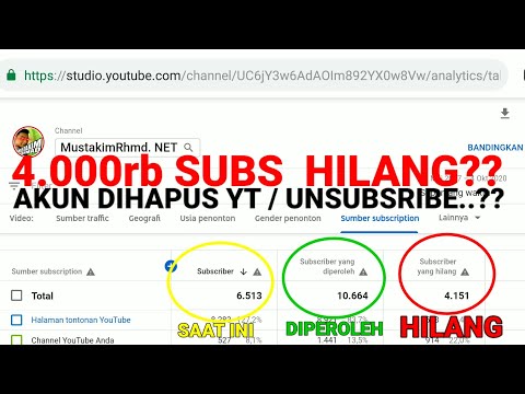INI DIA PENYEBAB SUBSCRIBER HILANG !! Terbaru