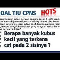 Berapa Kubus Kecil yang Terkena Cat 2 sisinya? Soal HOTS TIU CPNS 2021 [#66]