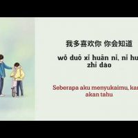 Download Lagu I Like You So Much, You’ll Know It (我多喜欢你,你会知道) - (Lirik video dan terjemahan) Download Lagu I Like You So Much, You’ll Know It (我多喜欢你,你会知道) – (Lirik video dan terjemahan)