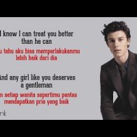 Download Lagu Treat You Better – Shawn Mendes (Lirik Lagu Terjemahan)