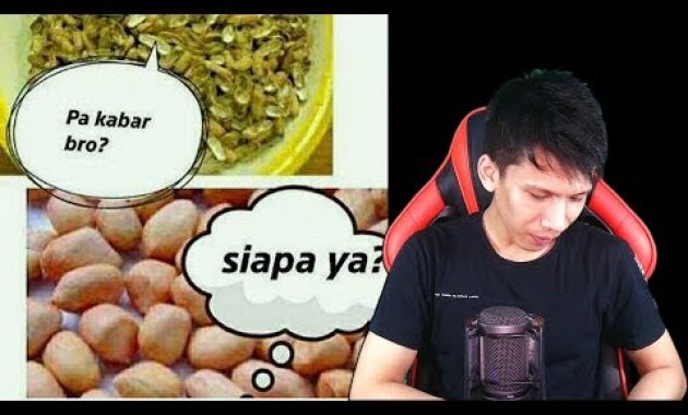 YOUTUBER KACANG LUPA KULIT ?
