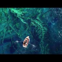 Download Dragon Bones LIVE WALLPAPER 4K Gratis
