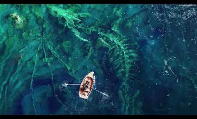 Download Dragon Bones LIVE WALLPAPER 4K Gratis