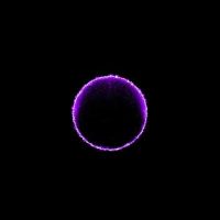 Download rainbow color ring desktop live wallpaper 4K Gratis