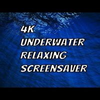 Download Live Wallpaper Underwater 4K Screensaver | 4K Background Video With Relax Music 528Hz