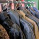 7 Rekomendasi Bahan Jaket Yang Bagus Untuk Milenial Rekomendasi Bahan Jaket Yang Bagus